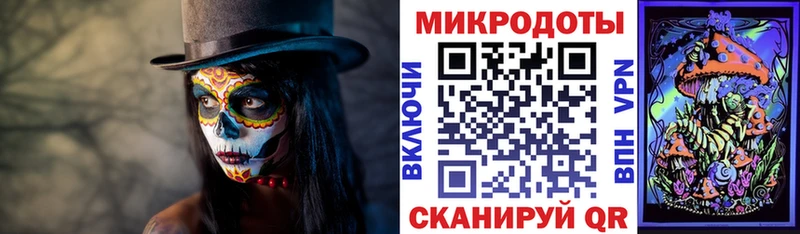 kraken как войти  Грайворон  Псилоцибиновые грибы ЛСД 